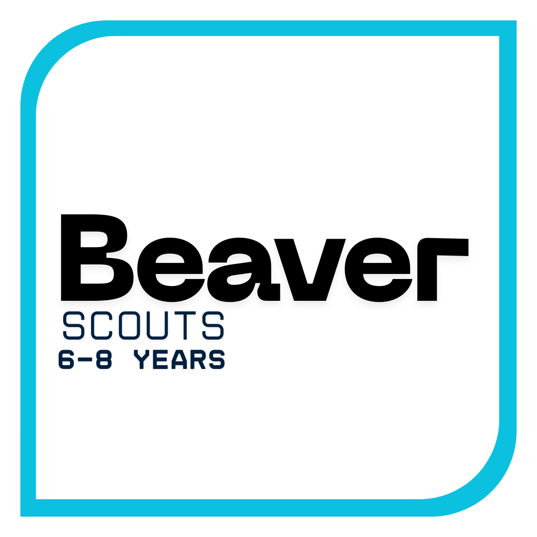 Beaver Scouts 6-8 years