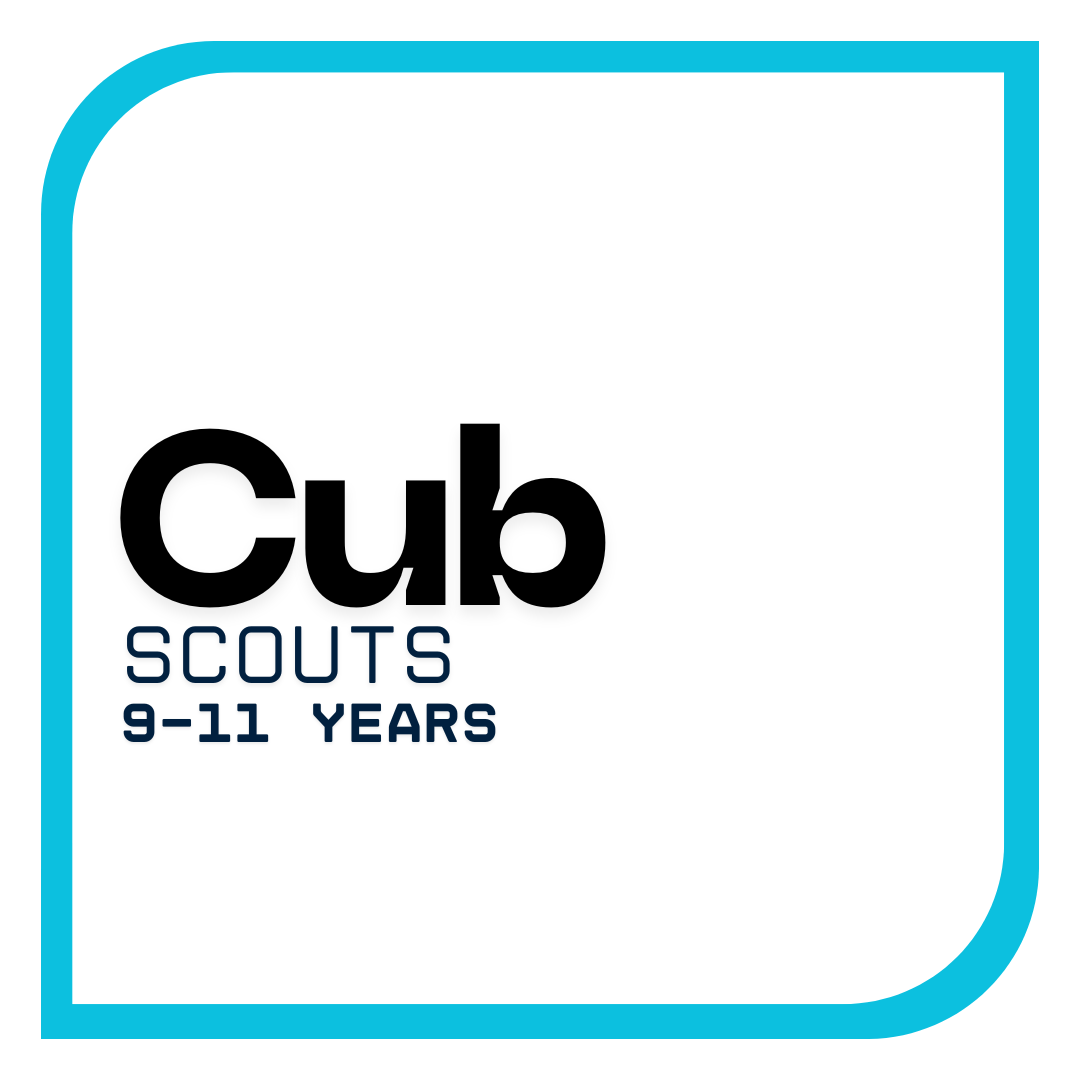 Cub Scouts 9-11 years